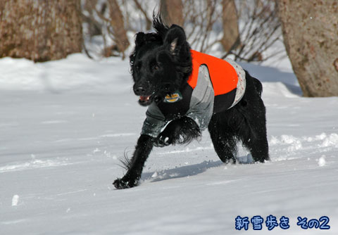 20070121_31ss.jpg