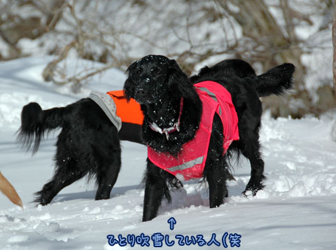 20070121_33ss.jpg