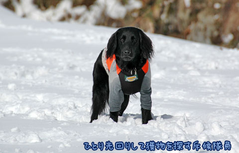 20070121_36ss.jpg