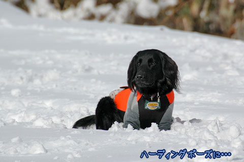 20070121_37ss.jpg
