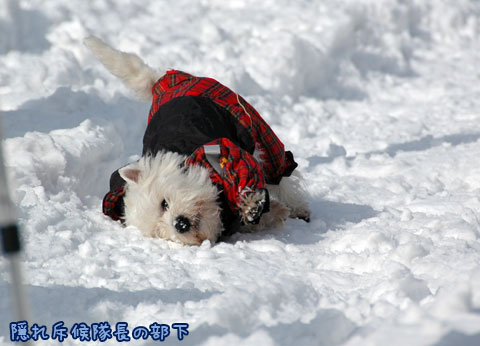 20070121_38ss.jpg
