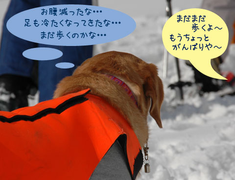 20070121_40ss.jpg