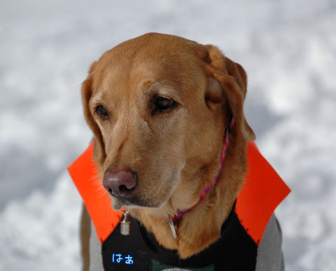 20070121_41ss.jpg