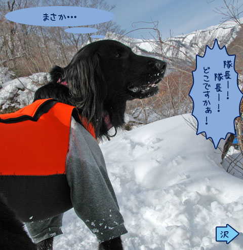 20070121_43ss.jpg