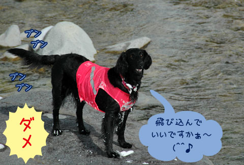 20070121_44ss.jpg