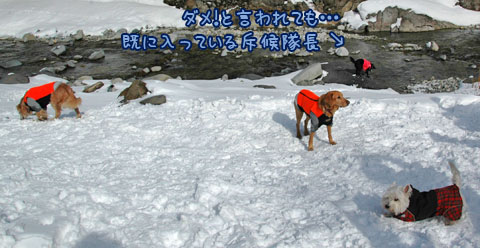 20070121_45ss.jpg