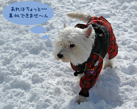 20070121_46ss.jpg