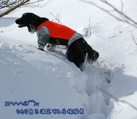 20070121_48ss.jpg