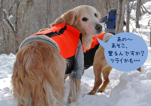 20070121_50ss.jpg