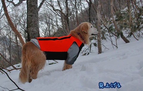 20070121_52ss.jpg