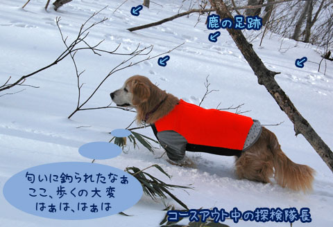 20070121_53ss.jpg
