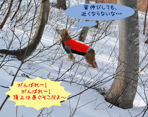 20070121_54ss.jpg