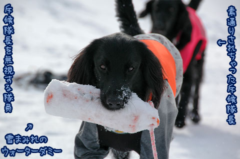 20070121_60ss.jpg