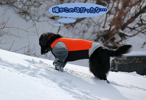20070121_61ss.jpg