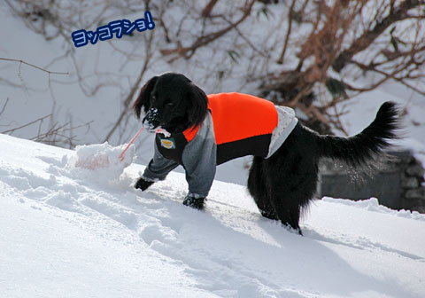20070121_63ss.jpg