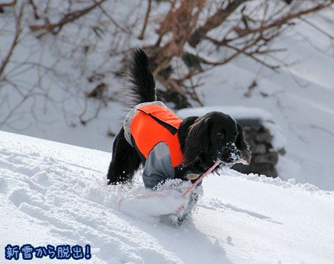 20070121_65ss.jpg