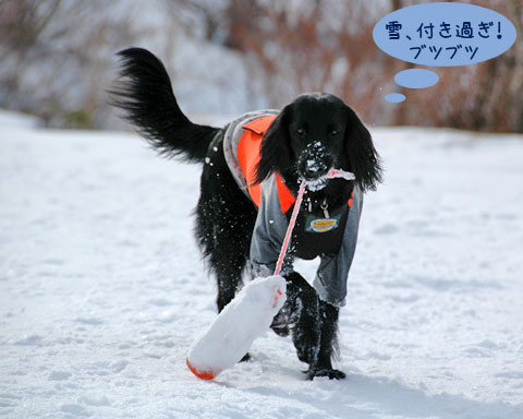 20070121_66ss.jpg