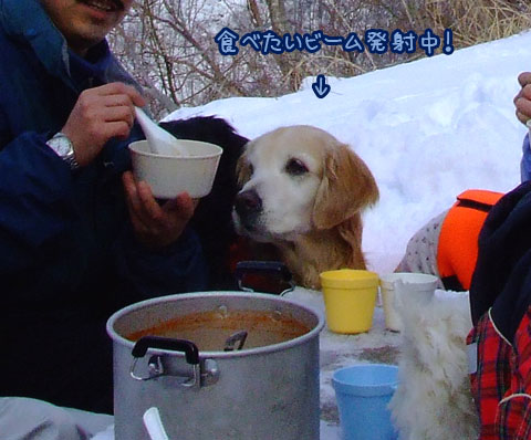 20070121_67-1ss.jpg