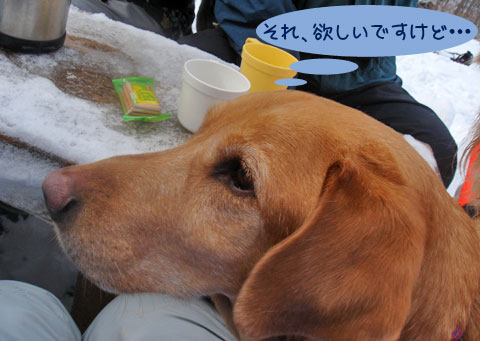 20070121_67-2ss.jpg