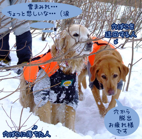 20070121_72-2ss.jpg