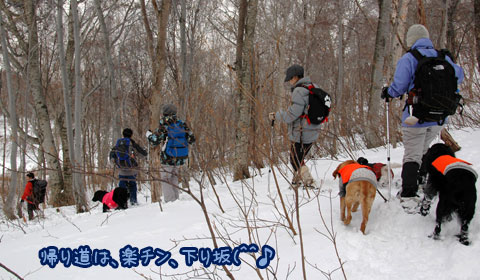 20070121_72ss.jpg