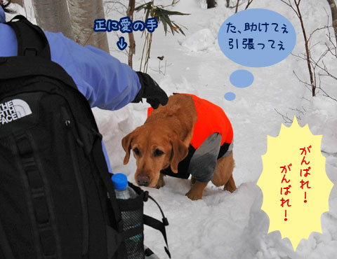 20070121_73-1ss.jpg