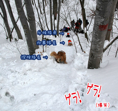 20070121_73ss.jpg