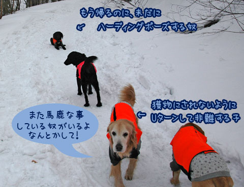 20070121_76ss.jpg