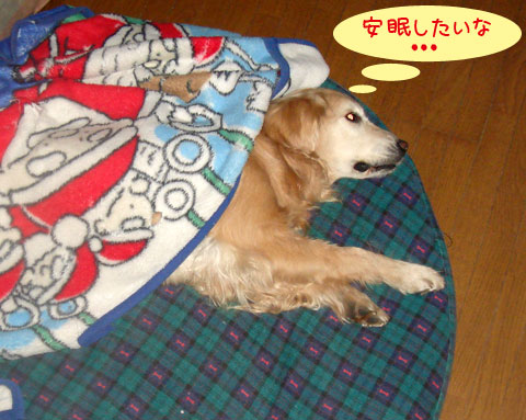 20070204.jpg