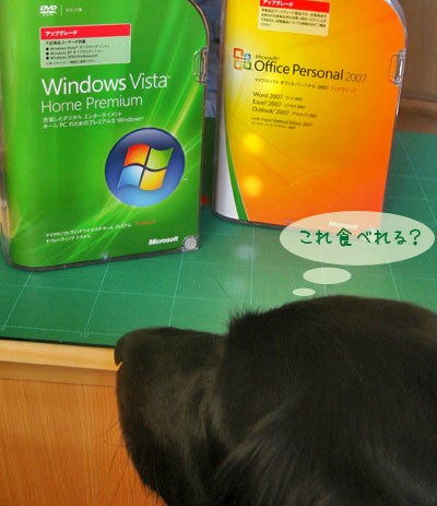 20070205.jpg