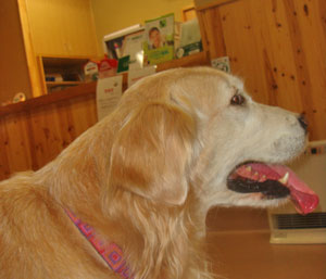 20070211.jpg