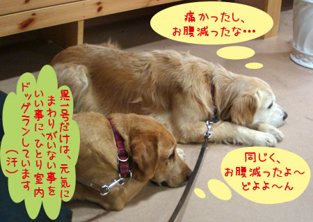 20070212.jpg