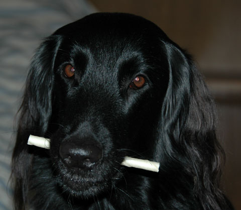 20070214.jpg