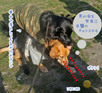 20070229-2.jpg