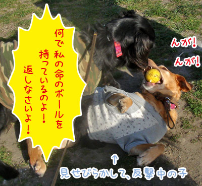 20070229-3jpg.jpg
