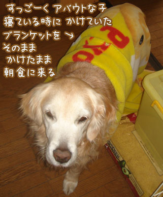 20070302jpg.jpg