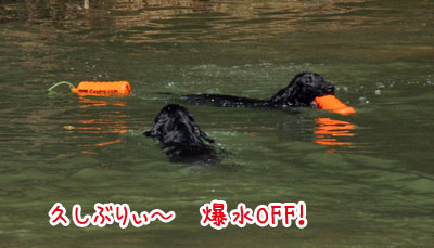 20070304jpg.jpg