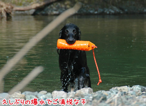 20070305-1.jpg