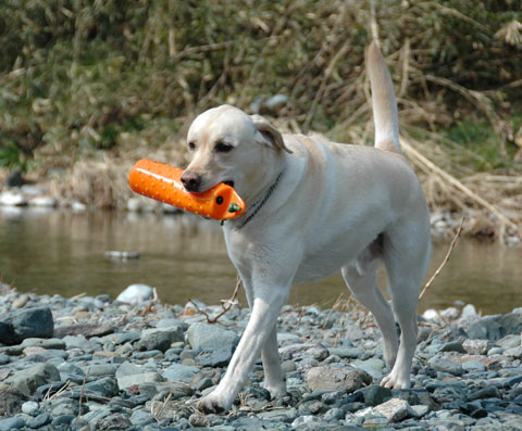 20070305-2.jpg