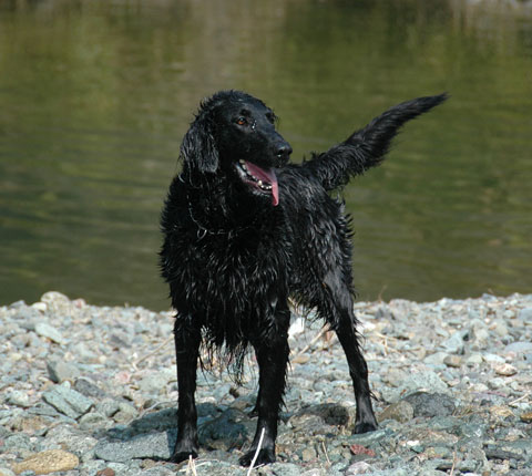 20070305-4.jpg