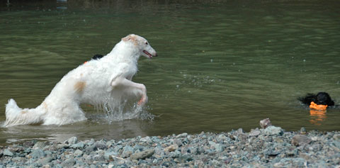 20070305-8.jpg