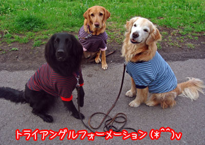 20070307.jpg