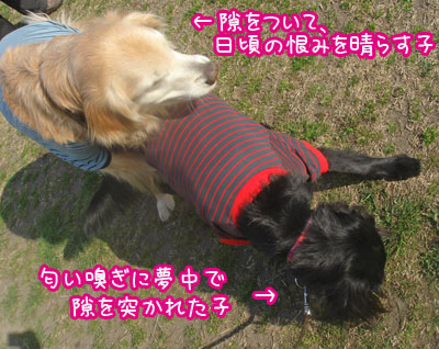 20070309.jpg
