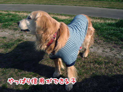 20070312-1.jpg