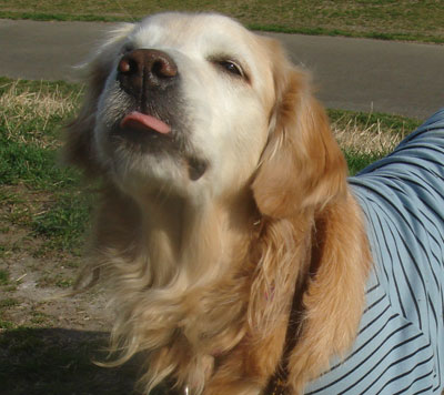 20070313.jpg