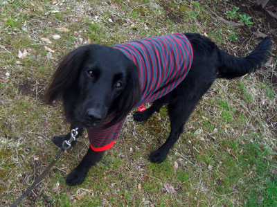 20070315.jpg