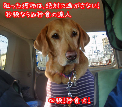 20070319.jpg