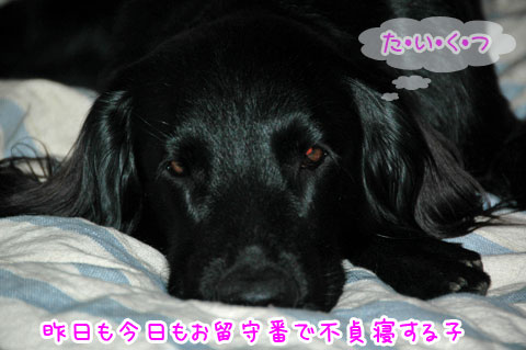 20070320.jpg