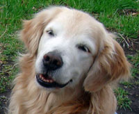 20070321.jpg