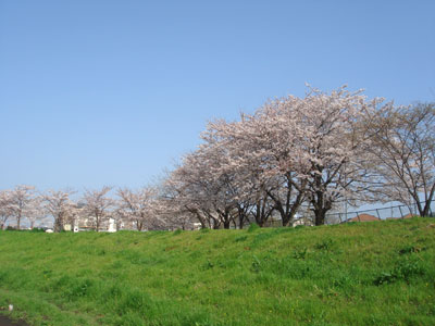 20070401.jpg